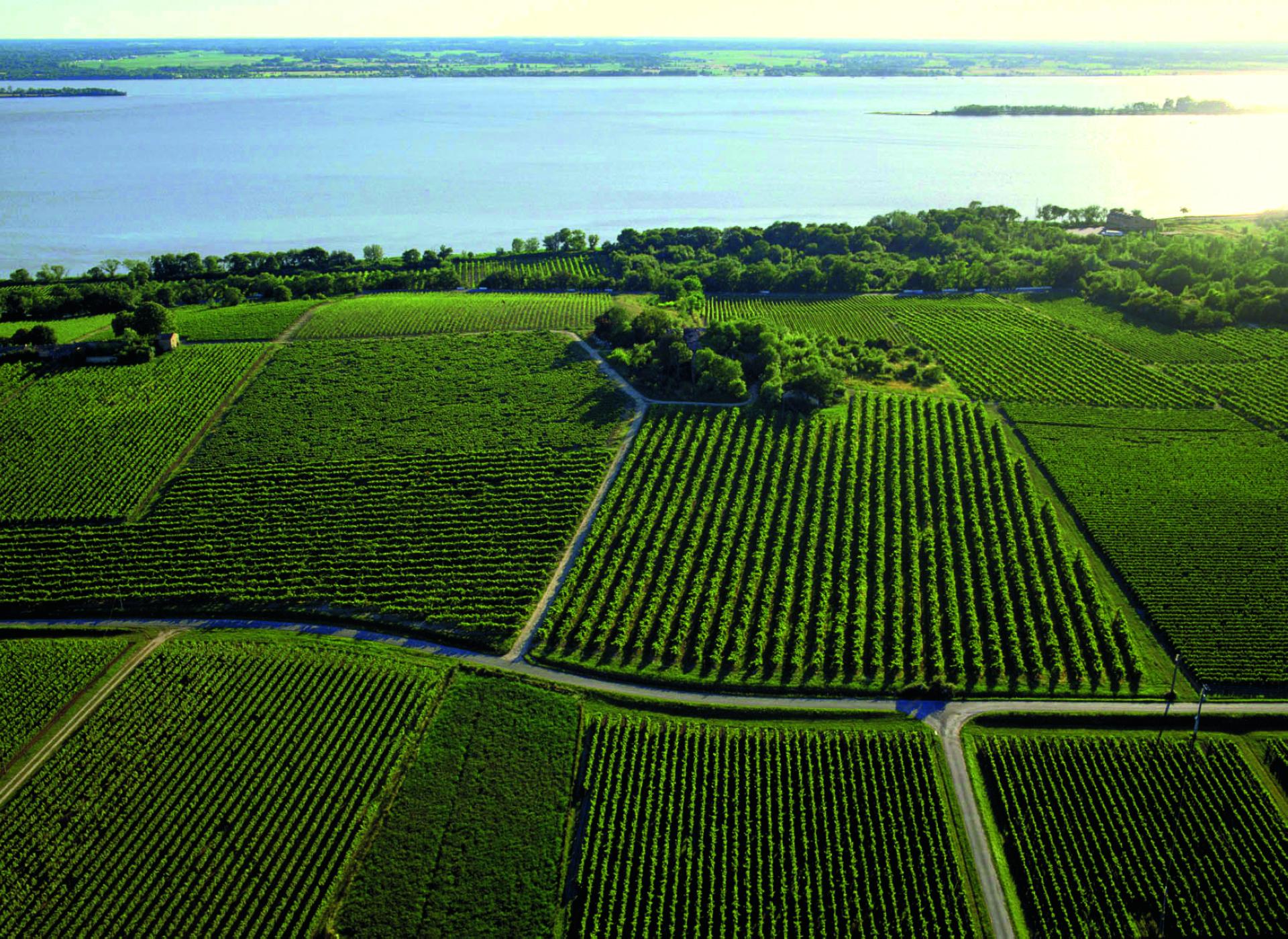 2-lesvigneronsdetutia-