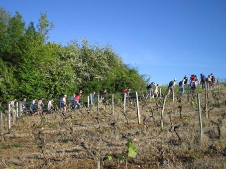 34 km de Tabanac /