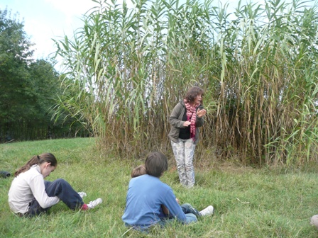 Activité Carnet de voyages Terres d
