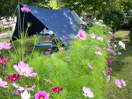 Camping la cigale - tente - Arès © Camping la cigale - - Crédit: La cigale Camping La Cigale
