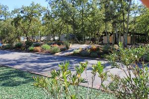 Camping Goélands Arès - Crédit: Camping Les goélands Camping Les Goélands
