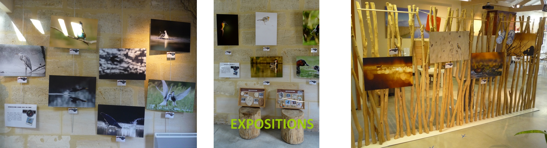 Expositions Terres d