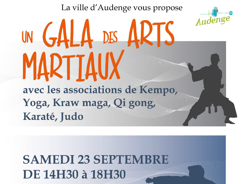 Gala des arts martiaux