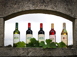 lot bouteilles château paty claune St Ciers