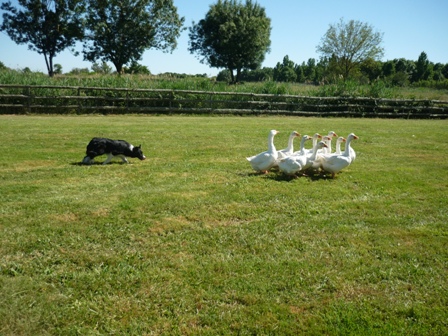 La-ferme-TO-Web-petit