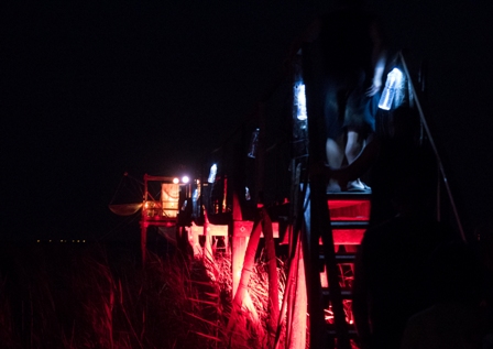 Nuit des Carrelets Terres d