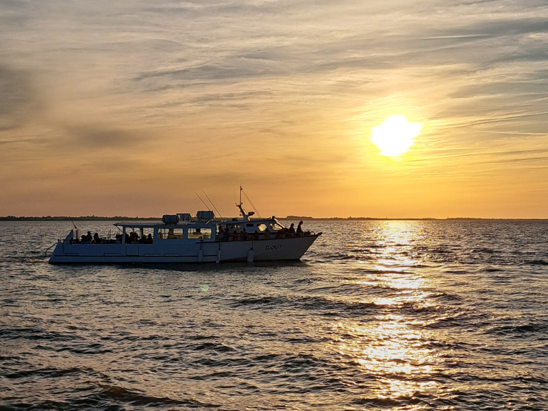 Croisière