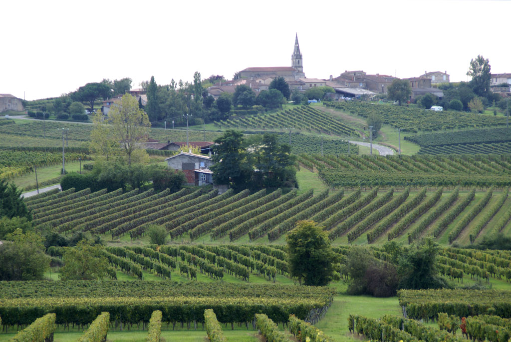 Opiniones de SaintAndréduBois