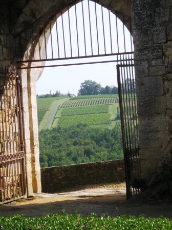 Vue sur les vignes en Benauge /