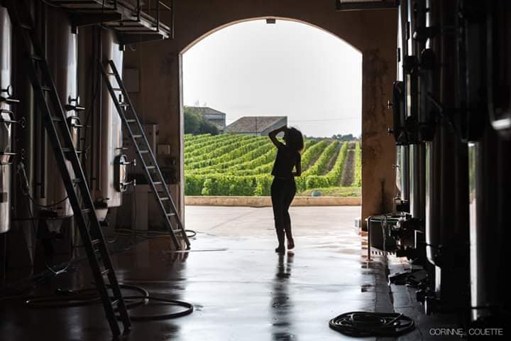 course-entre-vignes-et-marais