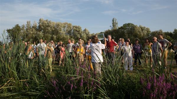 festibalade-au-chateau-haut-bourcier-blaye-cotes-de-bordeaux---800x600