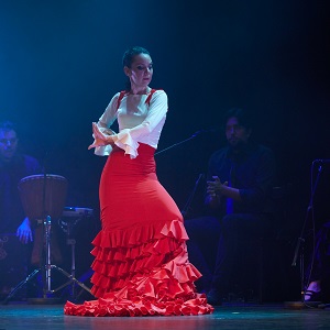 Solo flamenco