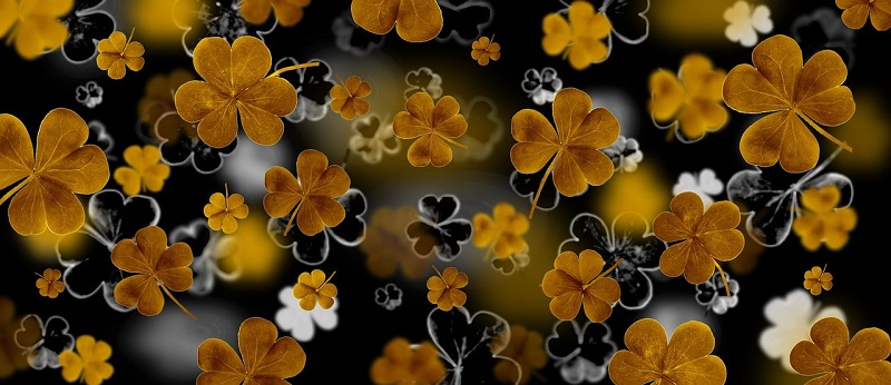 herbier