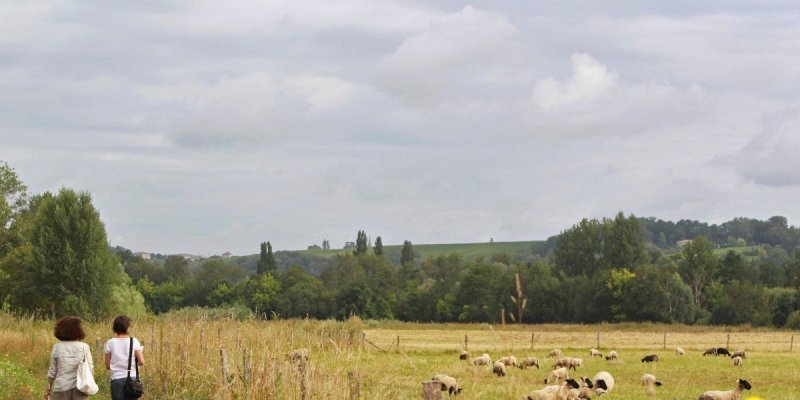 île de raymond /