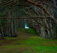 nature conte