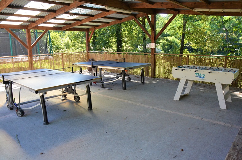 ping-pong-14