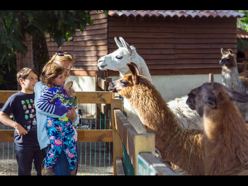 Parc animalier et d attractions La Coccinelle Gujan Mestras