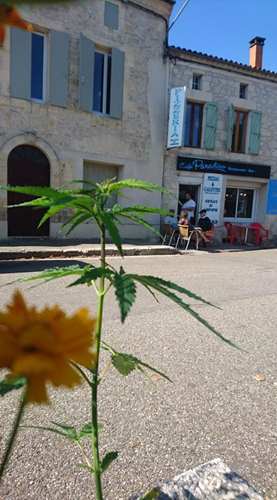 Le Paradiso