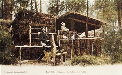 001 - Chasseurs de palombes - Ferdinand Bernède - début XXè siècle - Copie