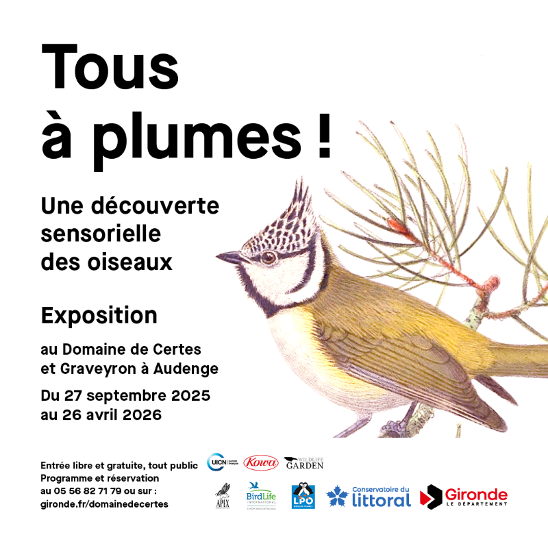 Exposition au Domaine de Certes et Graveyron : Tous à plumes