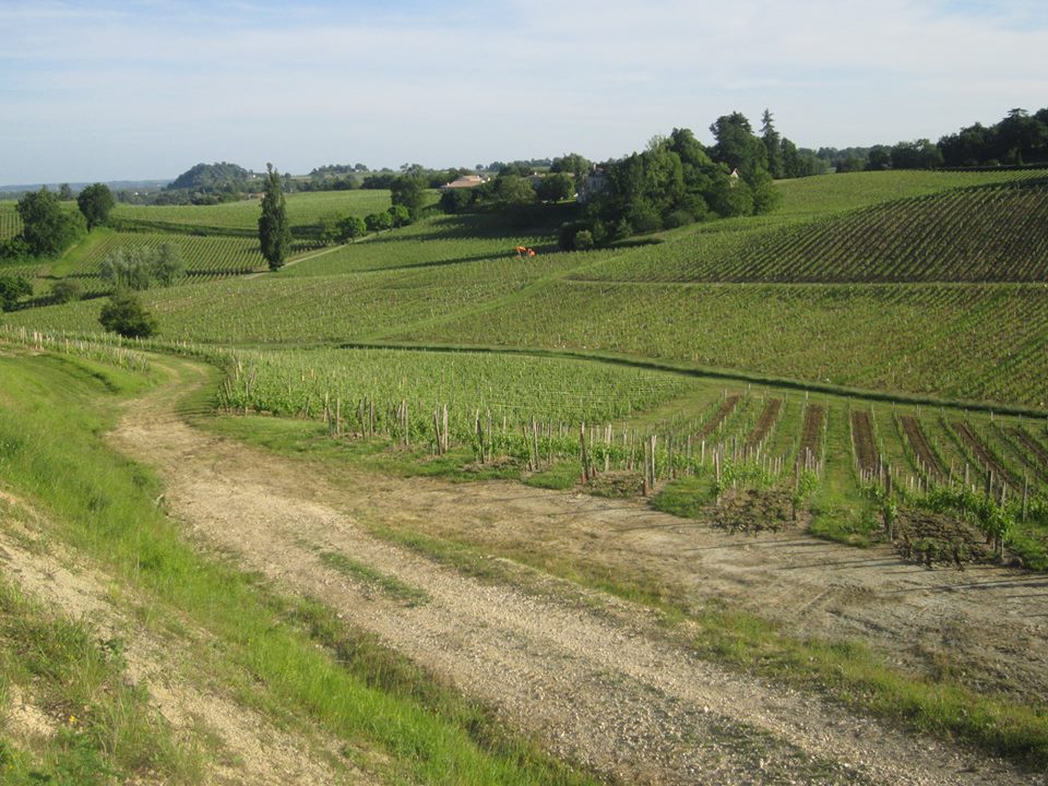 paysage en Fronsadais