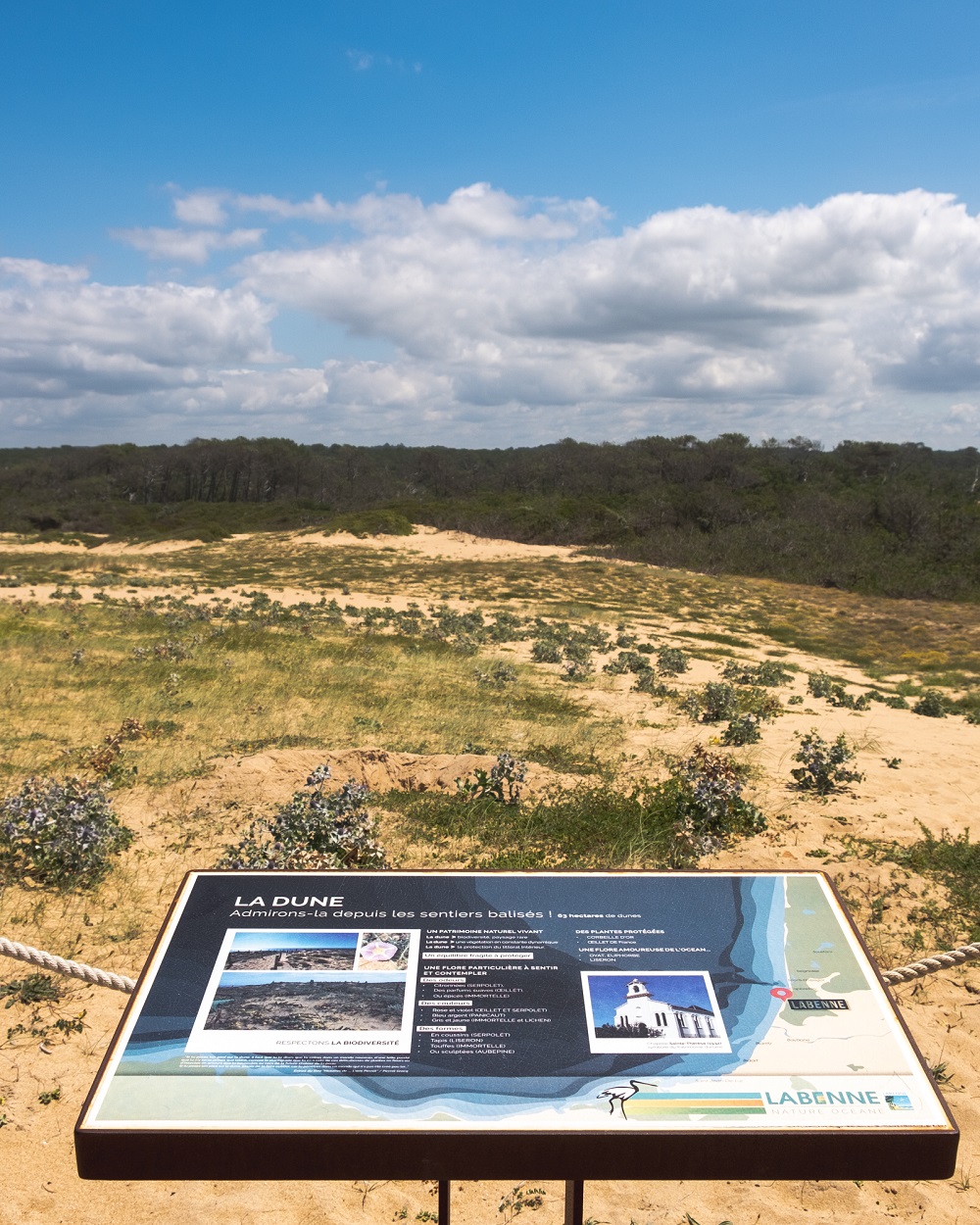 22062020-Labenne-sentier-dune-©OTI_LAS