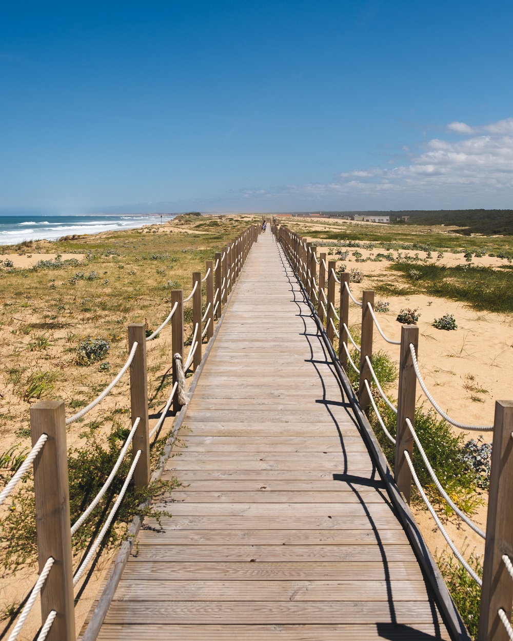 22062020-Labenne-sentier-dune-2-©OTI_LAS
