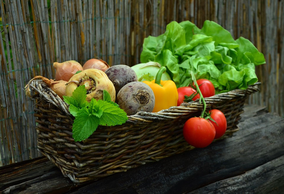 Légumes bio de M. Villette_1