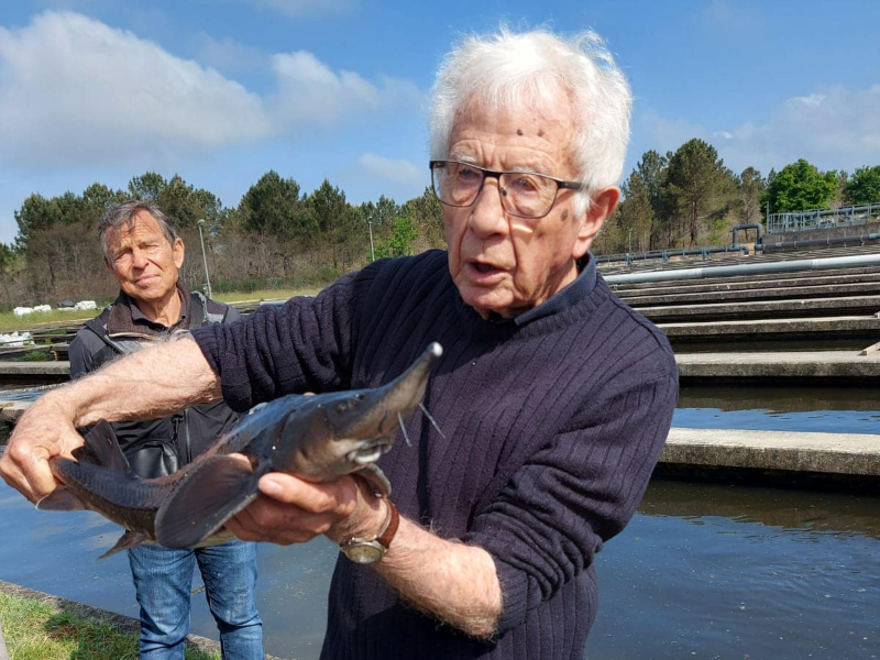 Visite privilège de l&rsquo;Esturgeonnière
