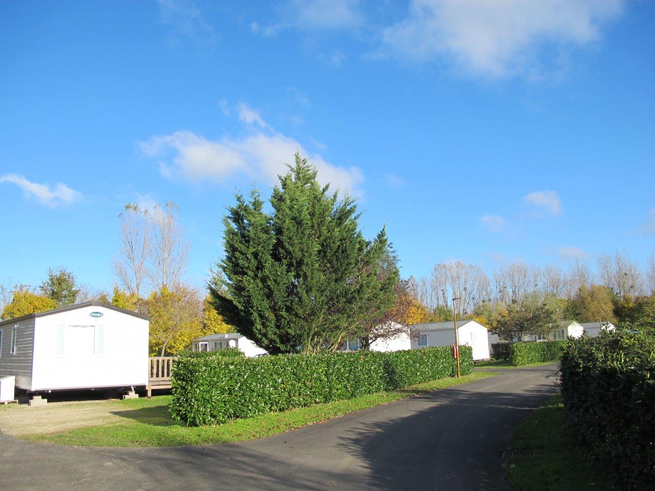 Camping Les Tuileries photo 5
