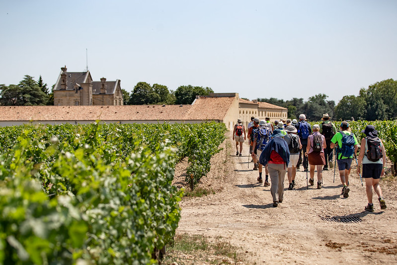 Les vignobles à vélo – la boucle des Châteaux de Pauillac