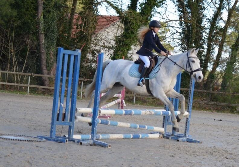 Concours de sauts d&rsquo;obstacles au Centre équestre