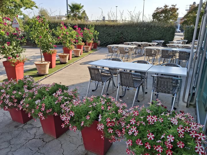 Le Patio, Azay-le-Brûlé - photo 3