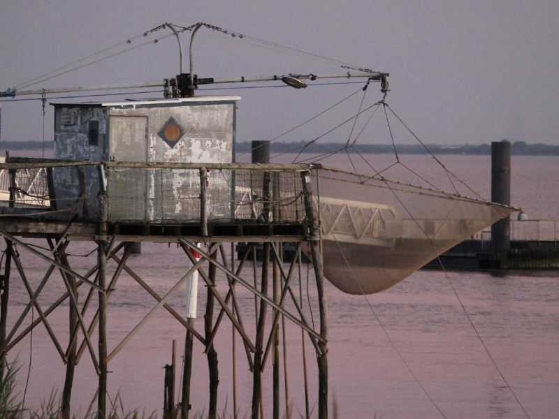Croisière Terres d'Oiseaux - 800x600
