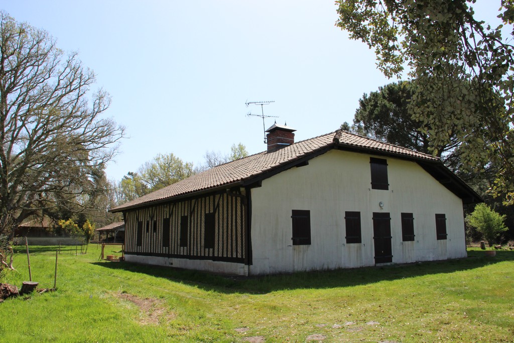 A Léon, Circuit Des Airials : Randonnée Pédestre à LEON