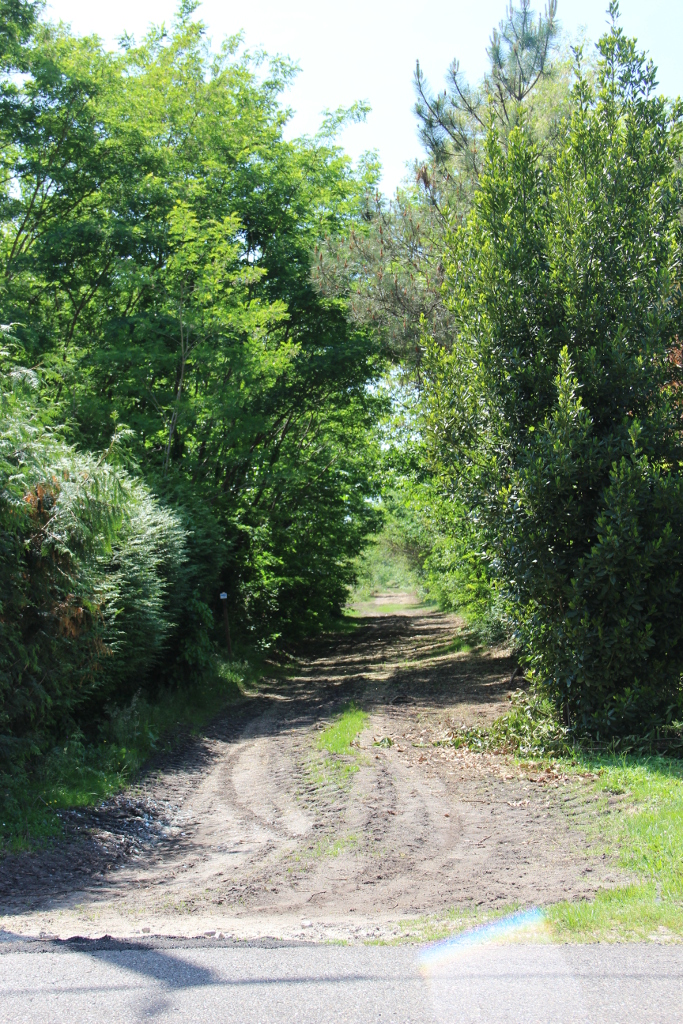 Ancienne voie ferrée-V2