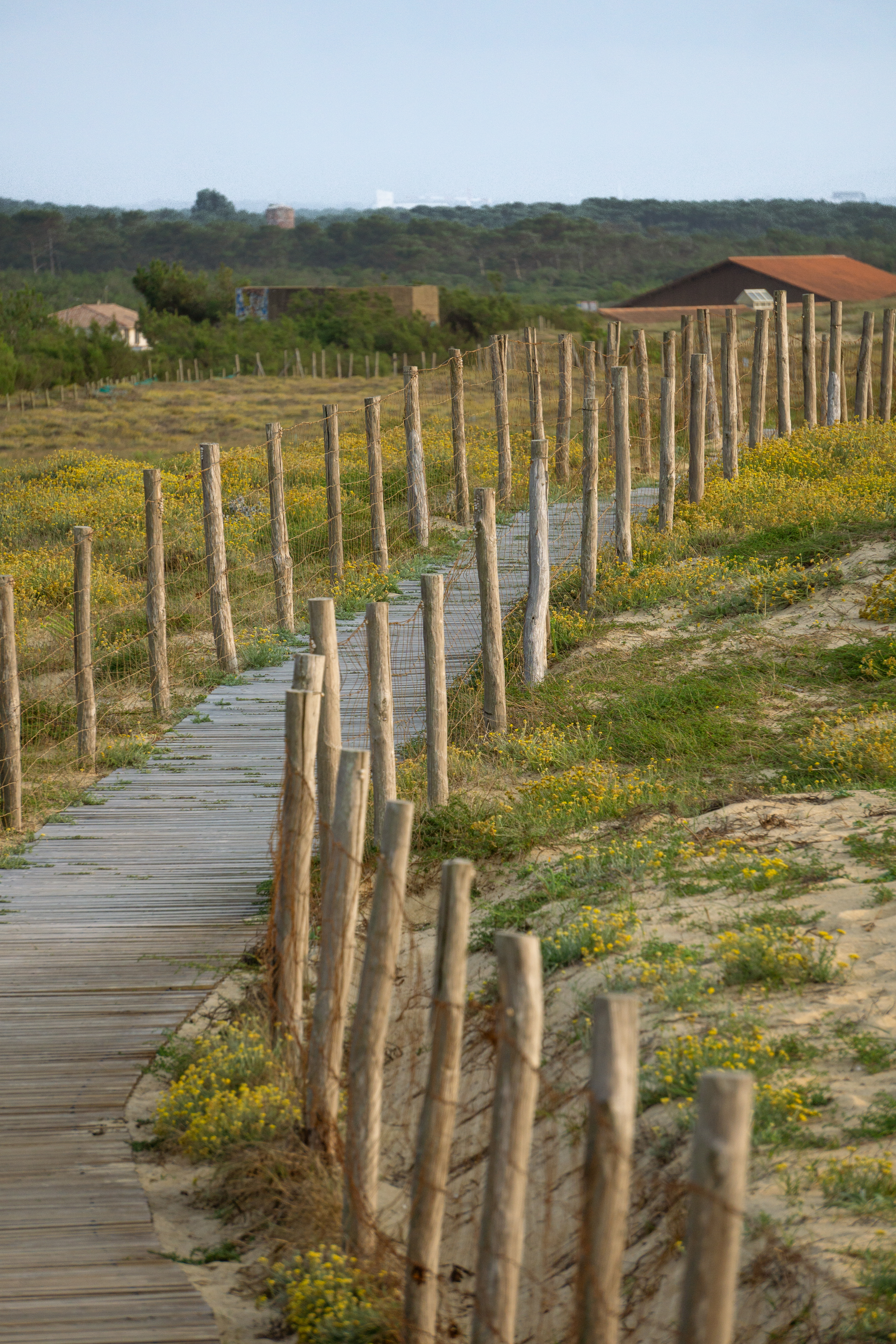 Balade_dune_Labenne_06 (1)