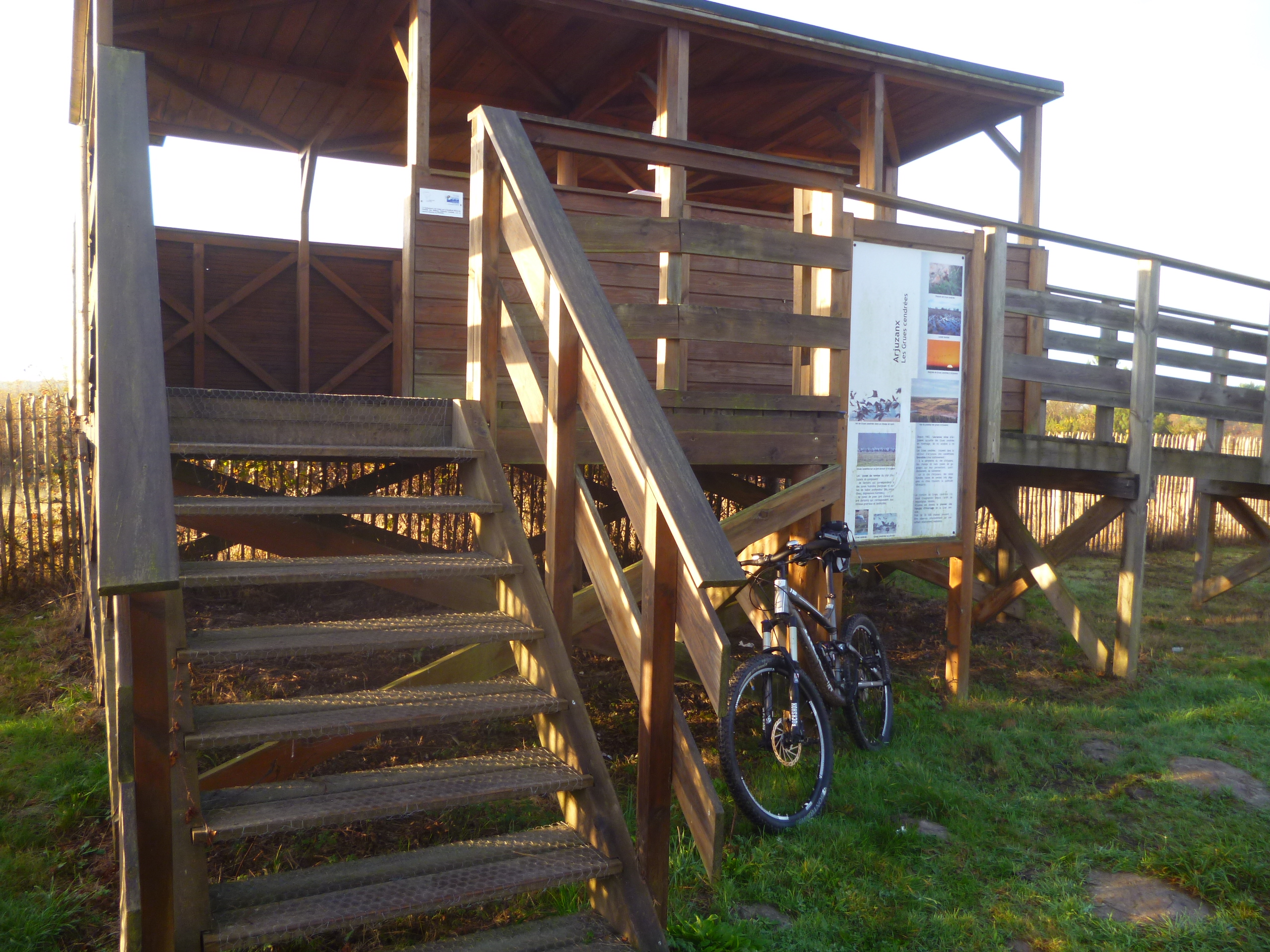 Bedade observatoire4