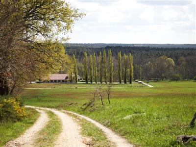 Bernos-Beaulac - randonnée - panorama
