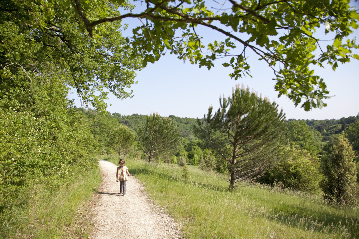 Le bois de Loc Boué
