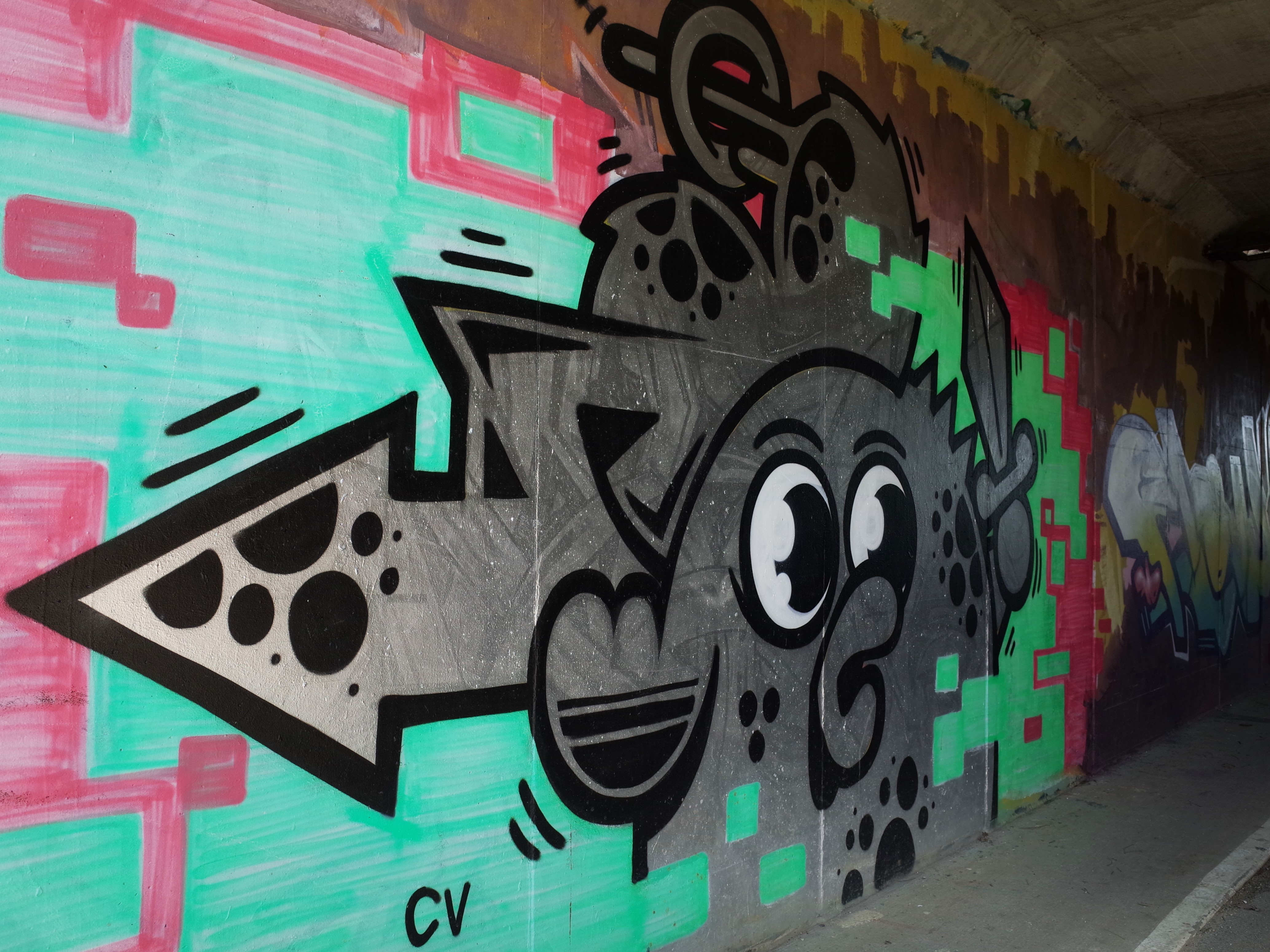 Tunnel de Piquecaillou