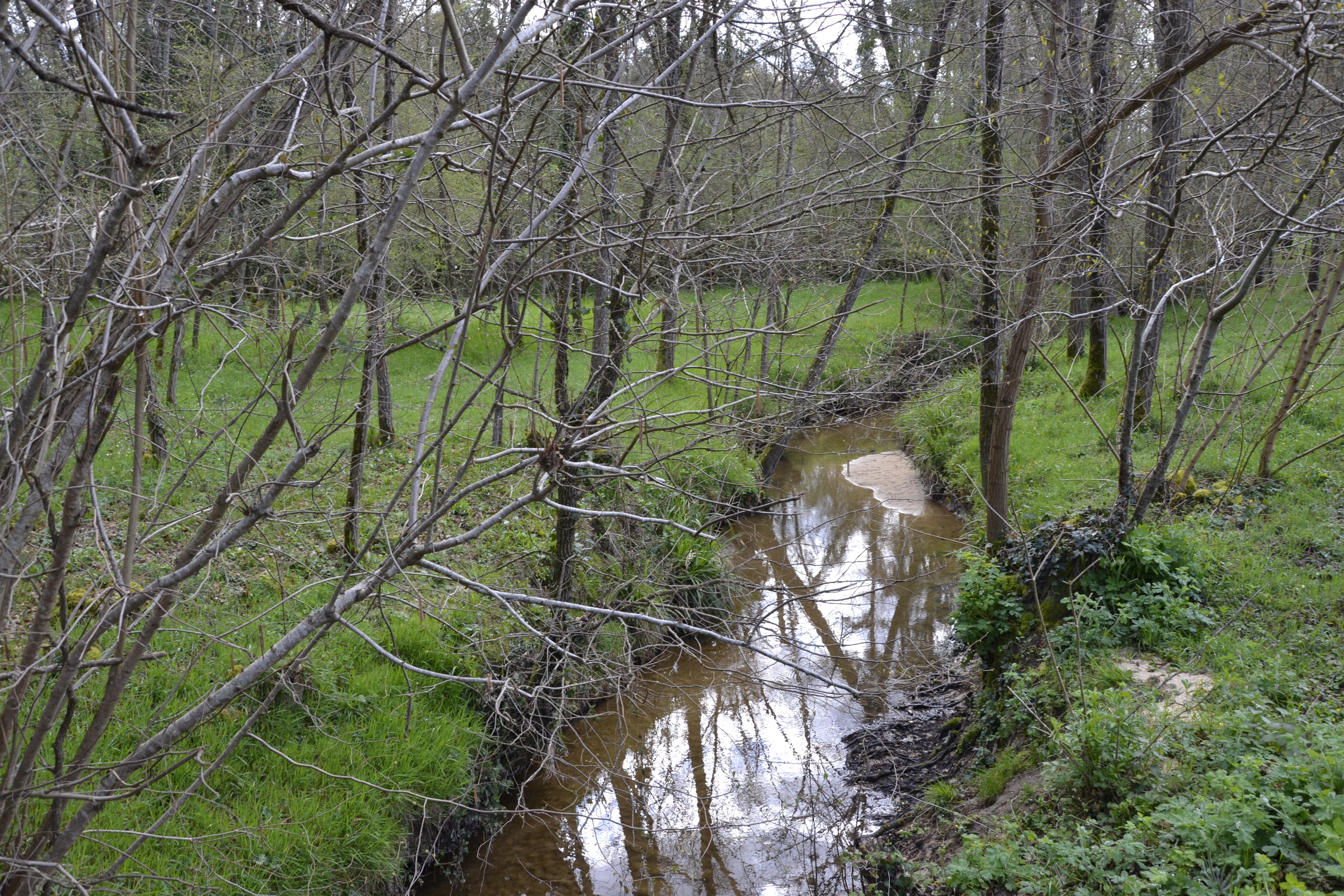 La Bassanne