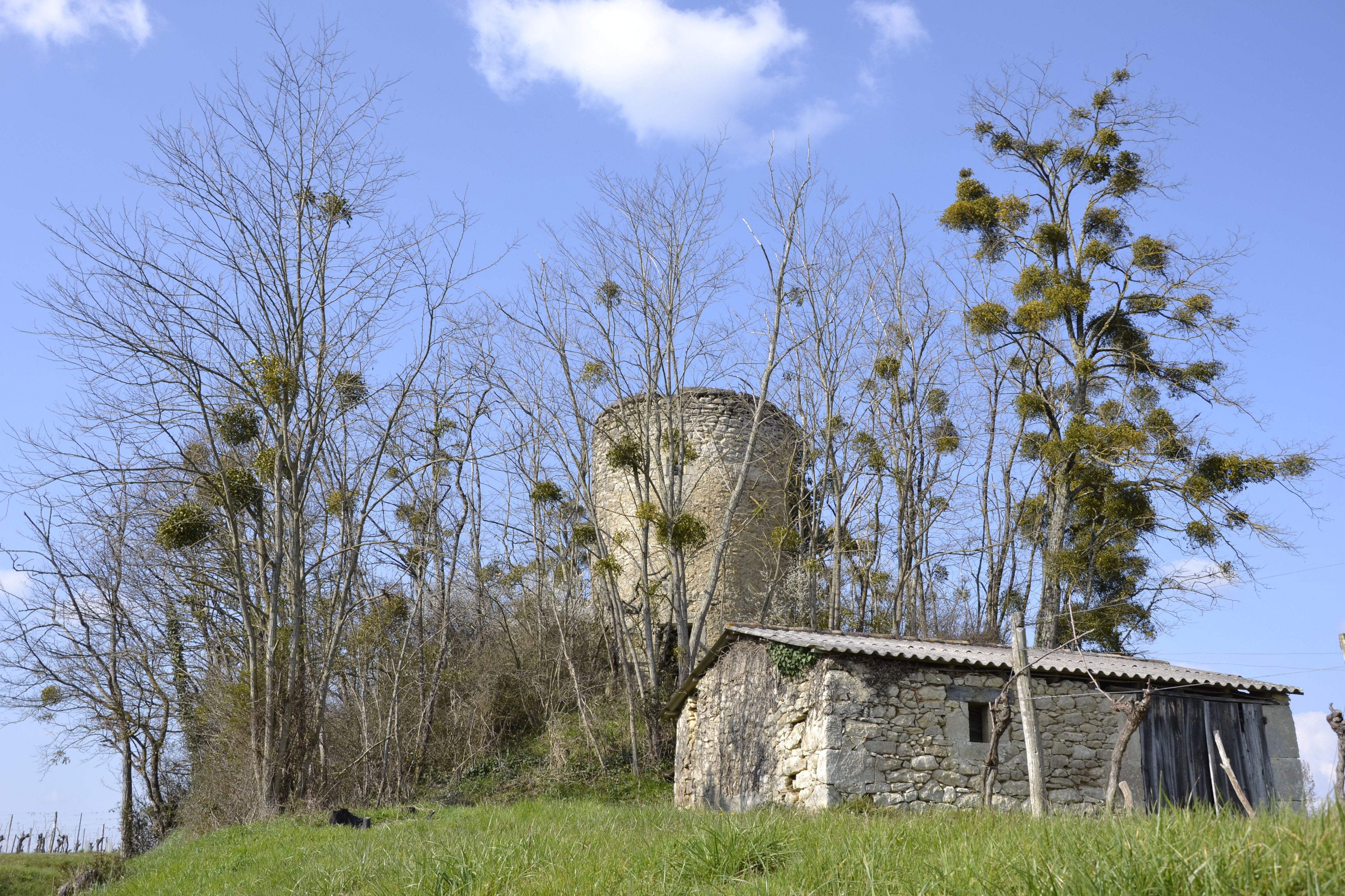 Ancien moulin