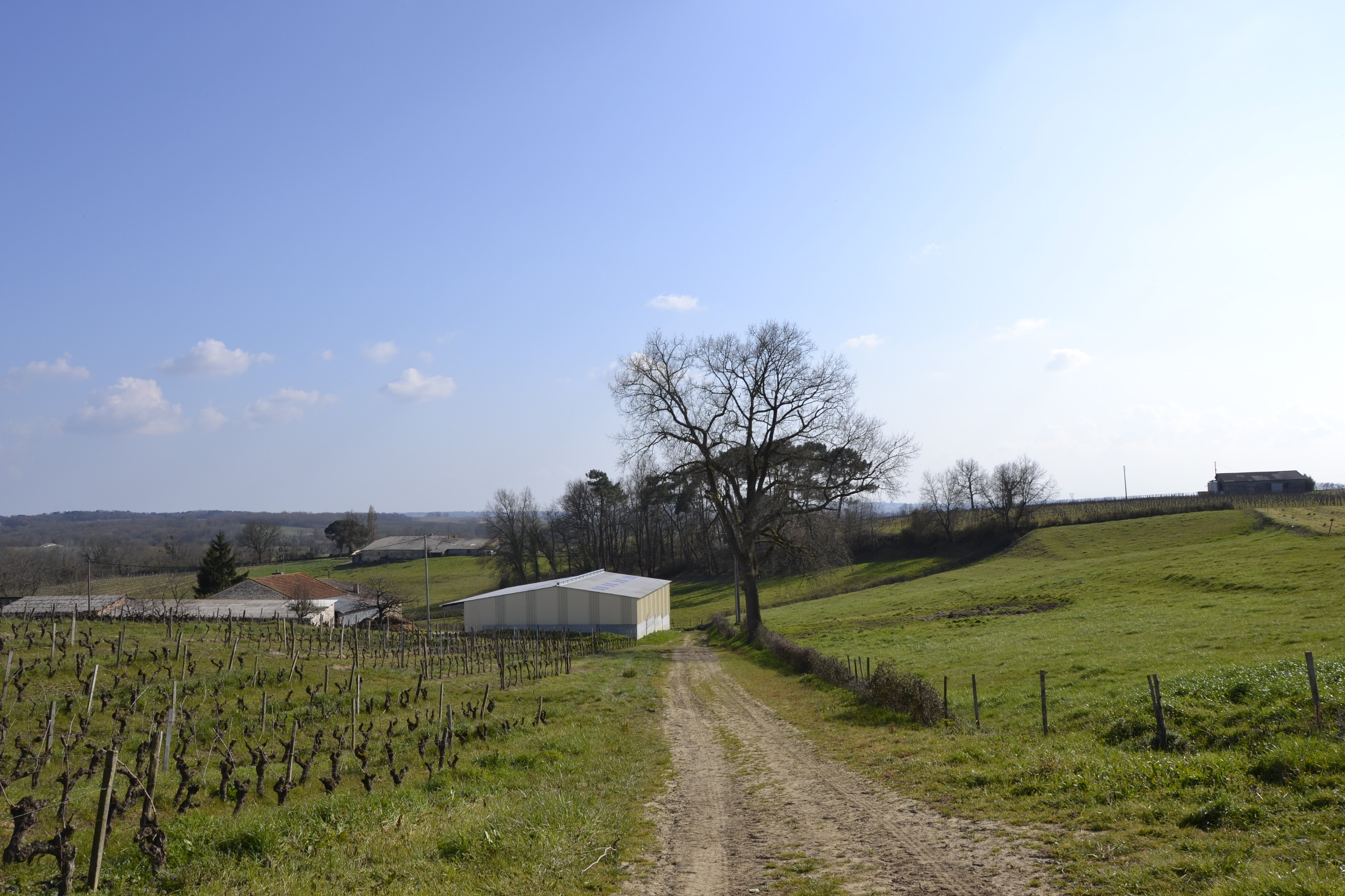 Ferme