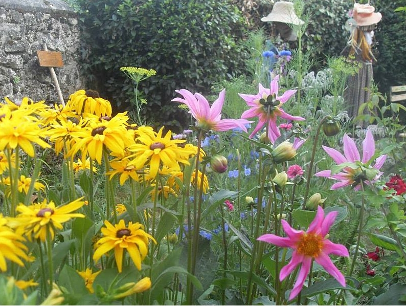 Jardin partagé de Bélis