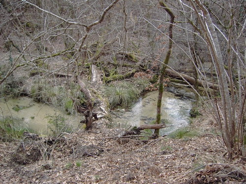 Ruisseau du coulin