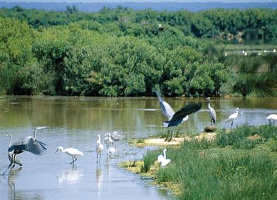 POI Teich2
