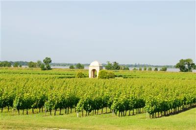 Vignoble du Blayais