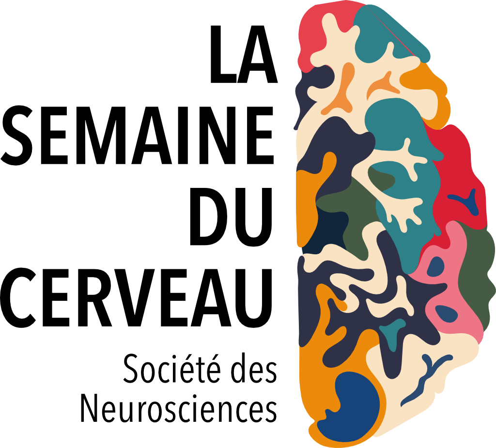 CERVEAU