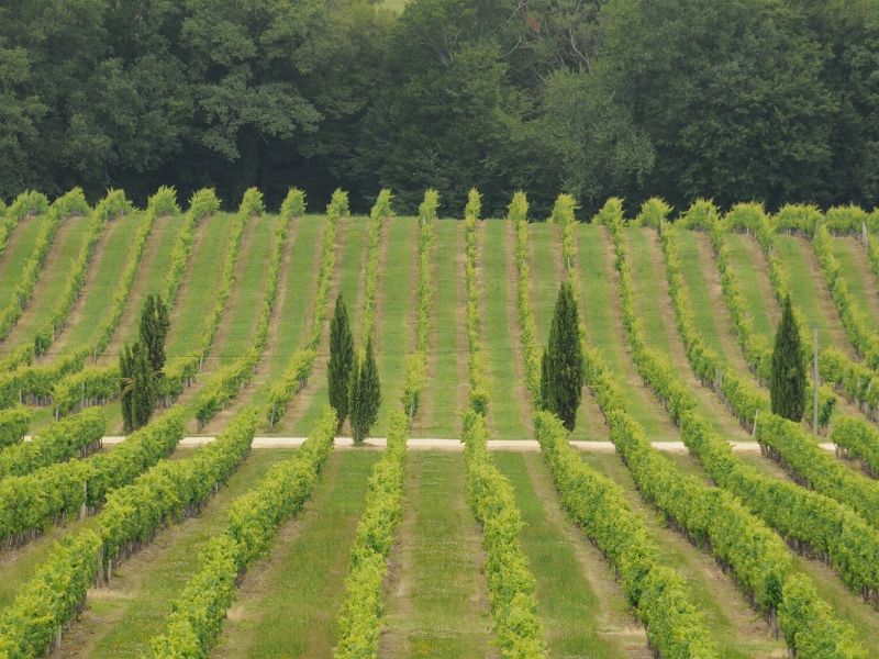 CHATEAU-VERMONT--2-